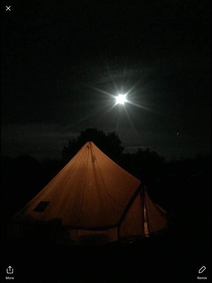 The Oaks Glamping - Pips Cabin Colkirk Dış mekan fotoğraf